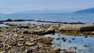 İznik Gölü’nde Kuraklık Alarmı: 1500 Yıllık “Batık Bazilika” Artık Karada