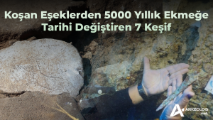 2025 Türkiye Arkeoloji Gündemi: Tarihi Değiştiren 7 Keşif
