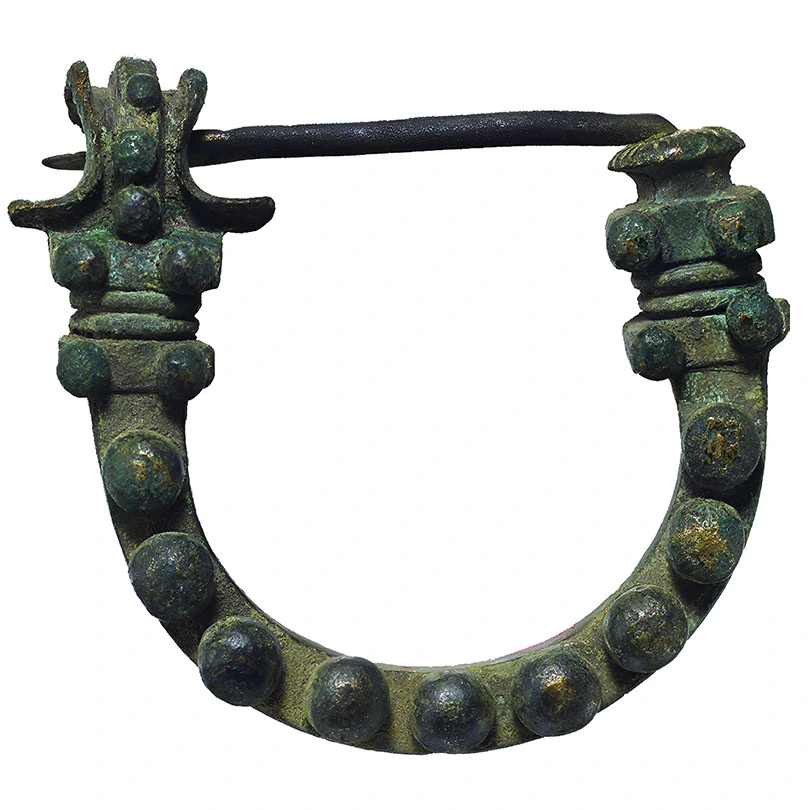 Fibula