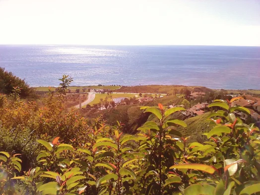 Malibu California Looking At The Pacific Ocean From Pepperdine University Arkeolog