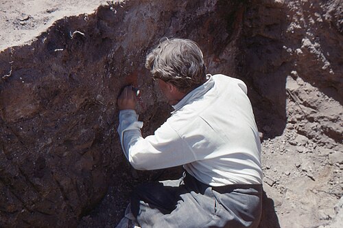 James Mellaart Kimdir? Çatalhöyük’ü Dünyaya Tanıtan Tartışmalı Arkeoloğun Hayatı 2 james